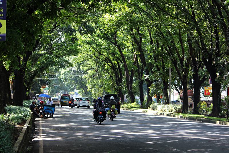 rental mobil bogor